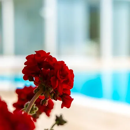 Villa Adriana Puglia - B&B & Private Villa Bed and Breakfast