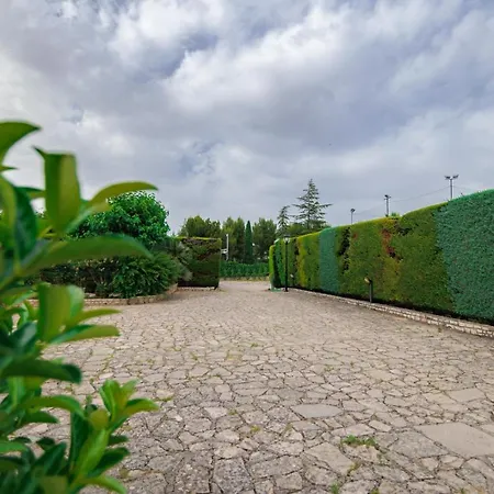 Bed & Breakfast Adriana Andria